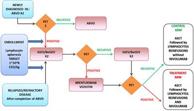 Post-Transplant Nivolumab Plus Unselected Autologous Lymphocytes in Refractory Hodgkin Lymphoma: A Feasible and Promising Salvage Therapy Associated With Expansion and Maturation of NK Cells